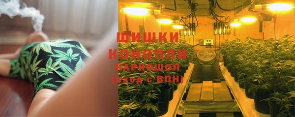 СК Вяземский